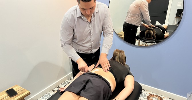 Who Can Perform Manual Therapy? image