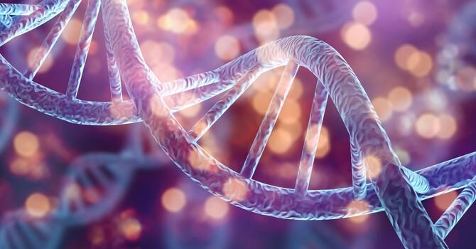 How Autologous Stem Cell Therapy Works