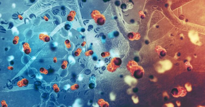 Stem Cell Therapy vs PRP in Miami